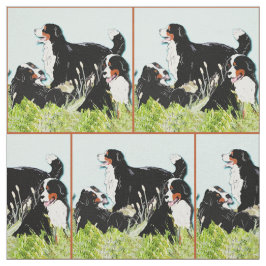 Bernese berghonden in het gras stof
