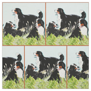 Bernese berghonden in het gras stof