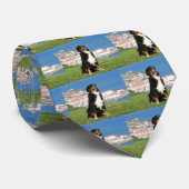 Bernese hond die op het strand poogt stropdas (Opgerold)