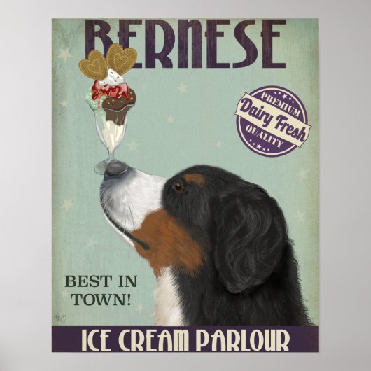 Bernese Ice Cream Poster (Voorkant)