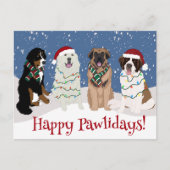 Bernese Leonberger Great Pyrenees Briefkaart (Voorkant)