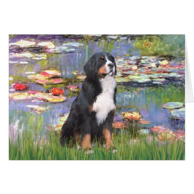 Bernese - Lilies 2 (Voorkant Horizontaal)