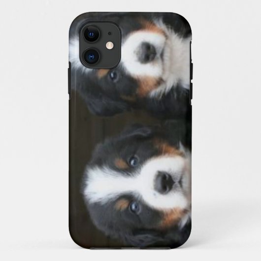Bernese moundog iPhone 5 Hoesje-Mate ID™ Case-Mate iPhone Case (Achterkant)