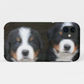 Bernese moundog iPhone 5 Hoesje-Mate ID™ Case-Mate iPhone Case (Achterkant (horizontaal))