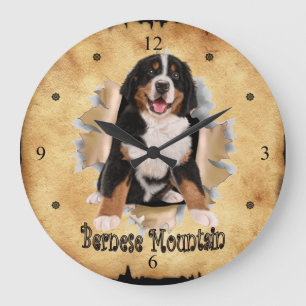Bernese Mountain Breaks Through Paper Bag Clock! ~ Grote Klok