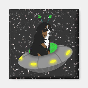 Bernese Mountain Dog Alien Magneet