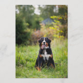 Bernese Mountain Dog Bar Menu (Achterkant)