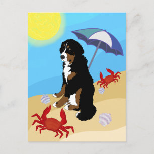 Bernese Mountain Dog Beach Briefkaart