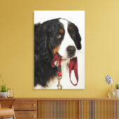 Bernese Mountain Dog (Berner Sennenhund) met Canvas Afdruk (Insitu (Woonkamer))