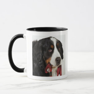 Bernese Mountain Dog (Berner Sennenhund) met Mok