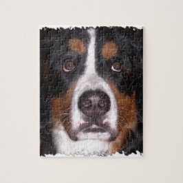 :Bernese Mountain Dog" "Big Dog" Legpuzzel