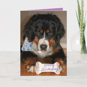 Bernese Mountain Dog Birthday Feestdagen Kaart