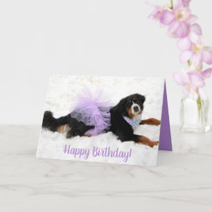 Bernese Mountain Dog Birthday Kaart
