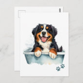 Bernese Mountain Dog Briefkaart (Voorkant / Achterkant)