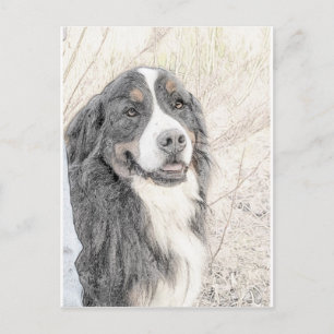 Bernese Mountain Dog Briefkaart