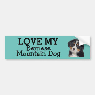 Bernese Mountain Dog bumpersticker