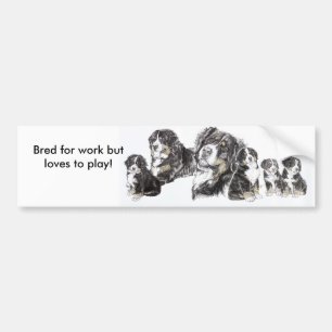 Bernese Mountain Dog Bumpersticker