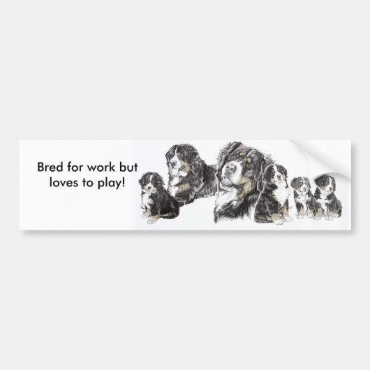 Bernese Mountain Dog Bumpersticker (Voorkant)