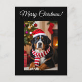 Bernese Mountain Dog Christmas Briefkaart (Voorkant)