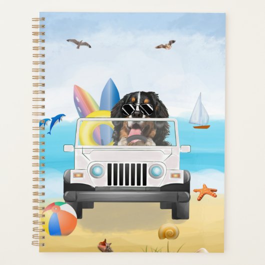 bernese mountain Dog Driving on Beach (Devant)