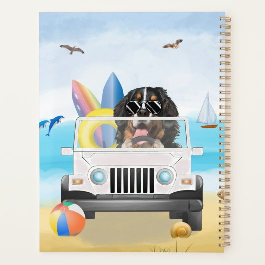 bernese mountain Dog Driving on Beach (Dos)