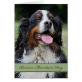 Bernese Mountain Dog elke keer dat hij in het midd (Voorkant)