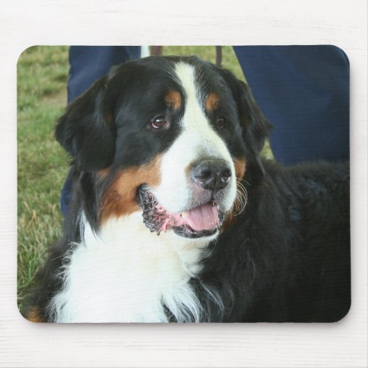 Bernese Mountain Dog Foto Muismat (Voorkant)