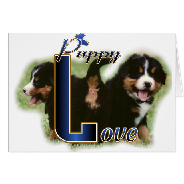 Bernese Mountain Dog Gifts (Voorkant Horizontaal)