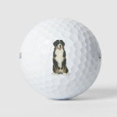 Bernese Mountain Dog Golfballen (Voorkant)