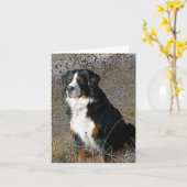 Bernese Mountain Dog Hallo Kaart (Gele Bloem)
