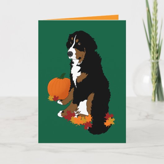 Bernese Mountain Dog herfst Blank Kaart (Voorkant)