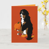 Bernese Mountain Dog herfst Blank Kaart (Gele Bloem)