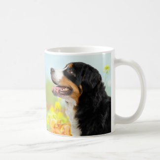 Bernese Mountain dog in the flower garden Koffiemok
