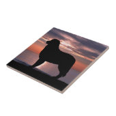 Bernese Mountain Dog Indigo Sunset Tegeltje (Zijkant)