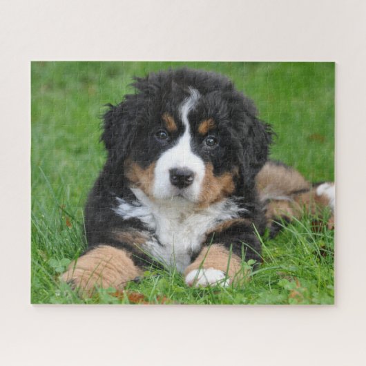 Bernese Mountain Dog Jigzaag Puzzle Puppy Legpuzzel (Horizontaal)