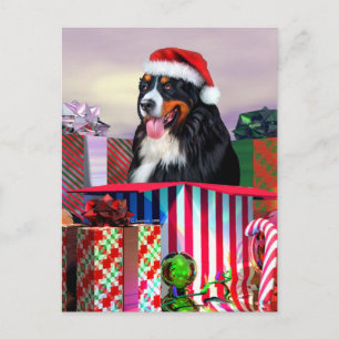 Bernese Mountain Dog Kerstmis Feestdagenkaart