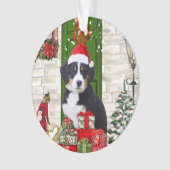 Bernese Mountain Dog Kerstmis Ornament (voorkant)