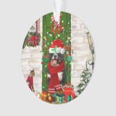 Bernese Mountain Dog Kerstmis Ornament (voorkant)
