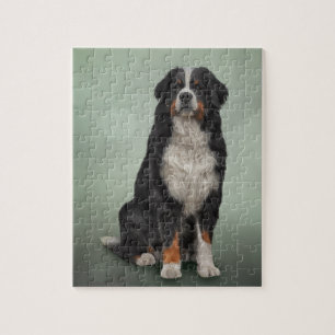 Bernese Mountain Dog Legpuzzel