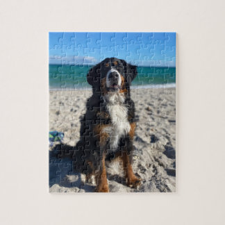 Bernese Mountain Dog Legpuzzel