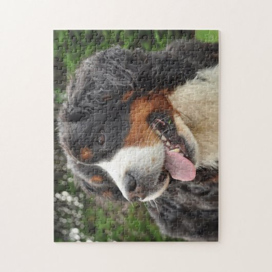 Bernese Mountain Dog. Legpuzzel (Verticaal)
