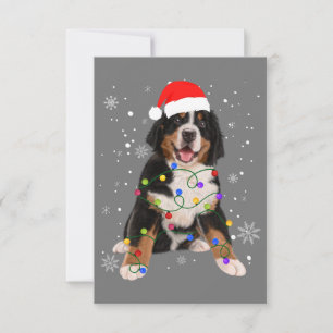 Bernese Mountain Dog licht kerstmis op Bedankkaart