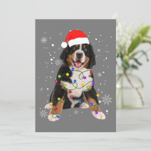 Bernese Mountain Dog licht kerstmis op Feestdagenkaart