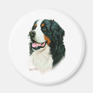 Bernese Mountain Dog Magneet