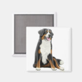 Bernese Mountain Dog Magnet Magneet (Voorkant / Achterkant)