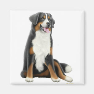 Bernese Mountain Dog Magnet Magneet