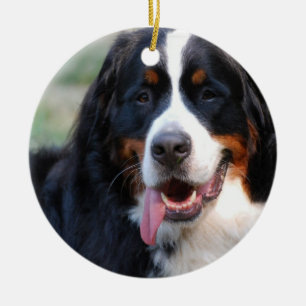 Bernese Mountain Dog met Big Tongue Ornaments Keramisch Ornament