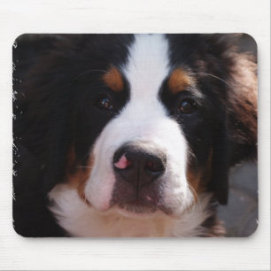 Bernese Mountain Dog Muismat