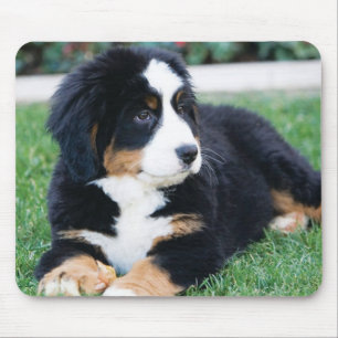 Bernese Mountain Dog Muismat