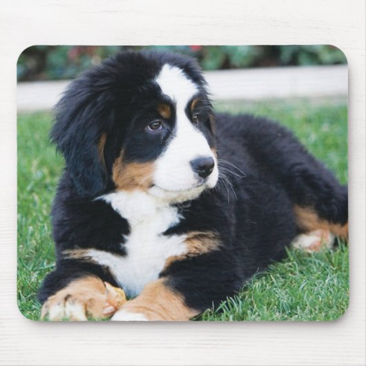 Bernese Mountain Dog Muismat (Voorkant)